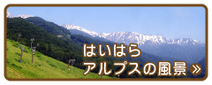原タイルブログ